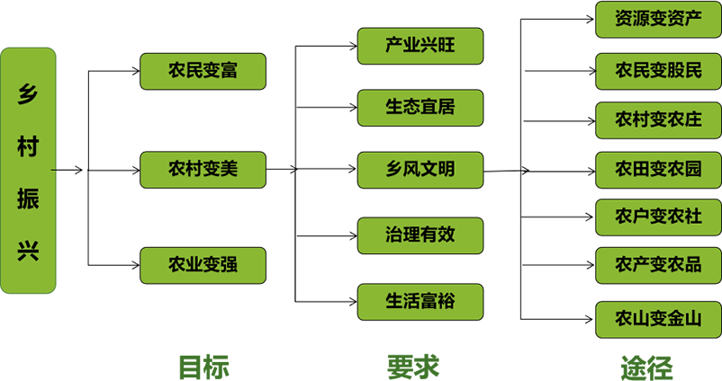 乡村振兴路径图