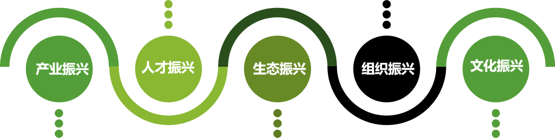 乡村振兴要点