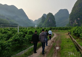 广西省桂林市平乐县策划和规划项目考察之旅